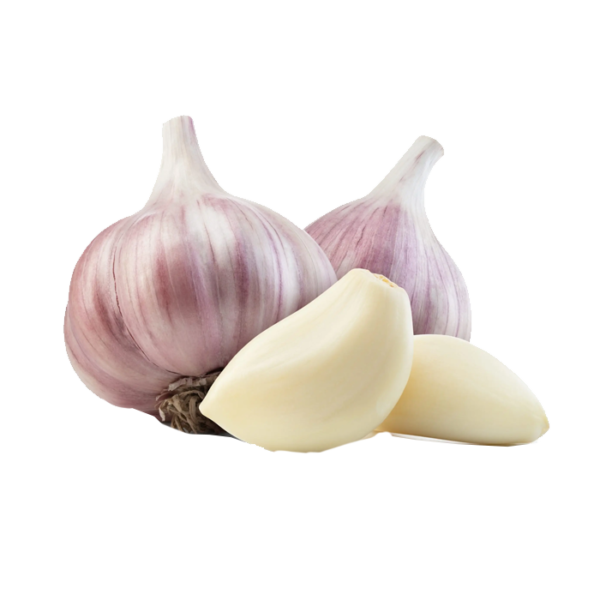 Garlic (กระเทียม)