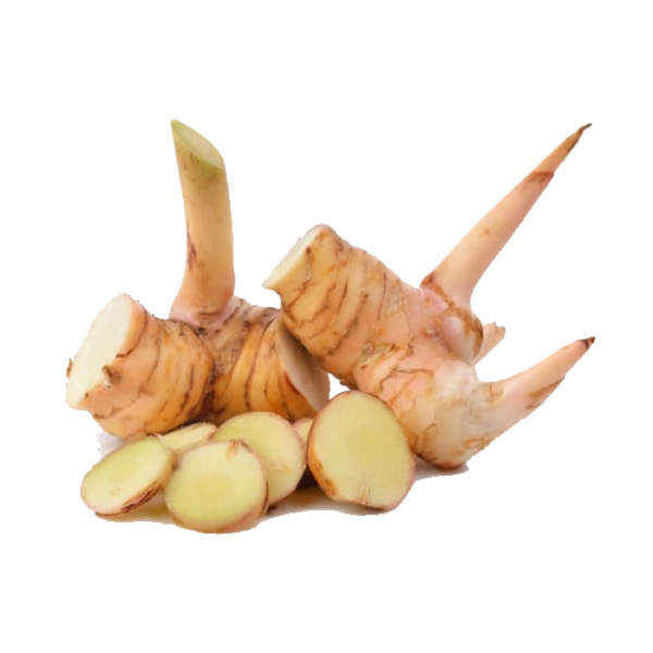 Galanga (ข่า)