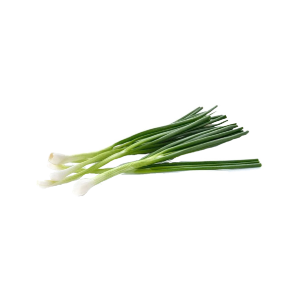 Scallion (ต้นหอม)