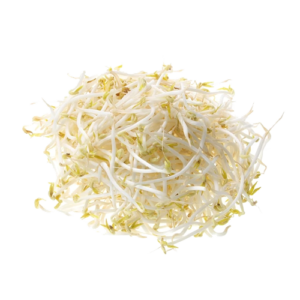 Bean Sprouts (ถั่วงอก)