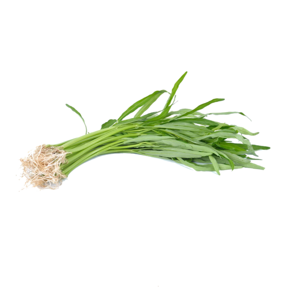 Chinese Water Spinach (ผักบุ้งจีน) - Image 2