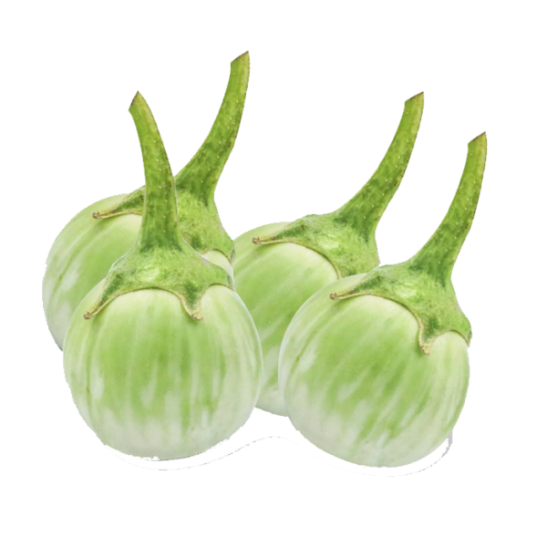 Round Eggplant (มะเขือเปราะ)