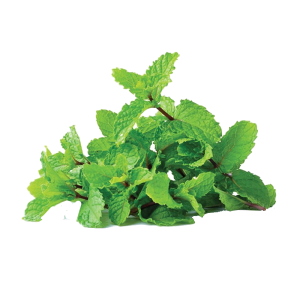 Mint Leaf (สะระแหน่)